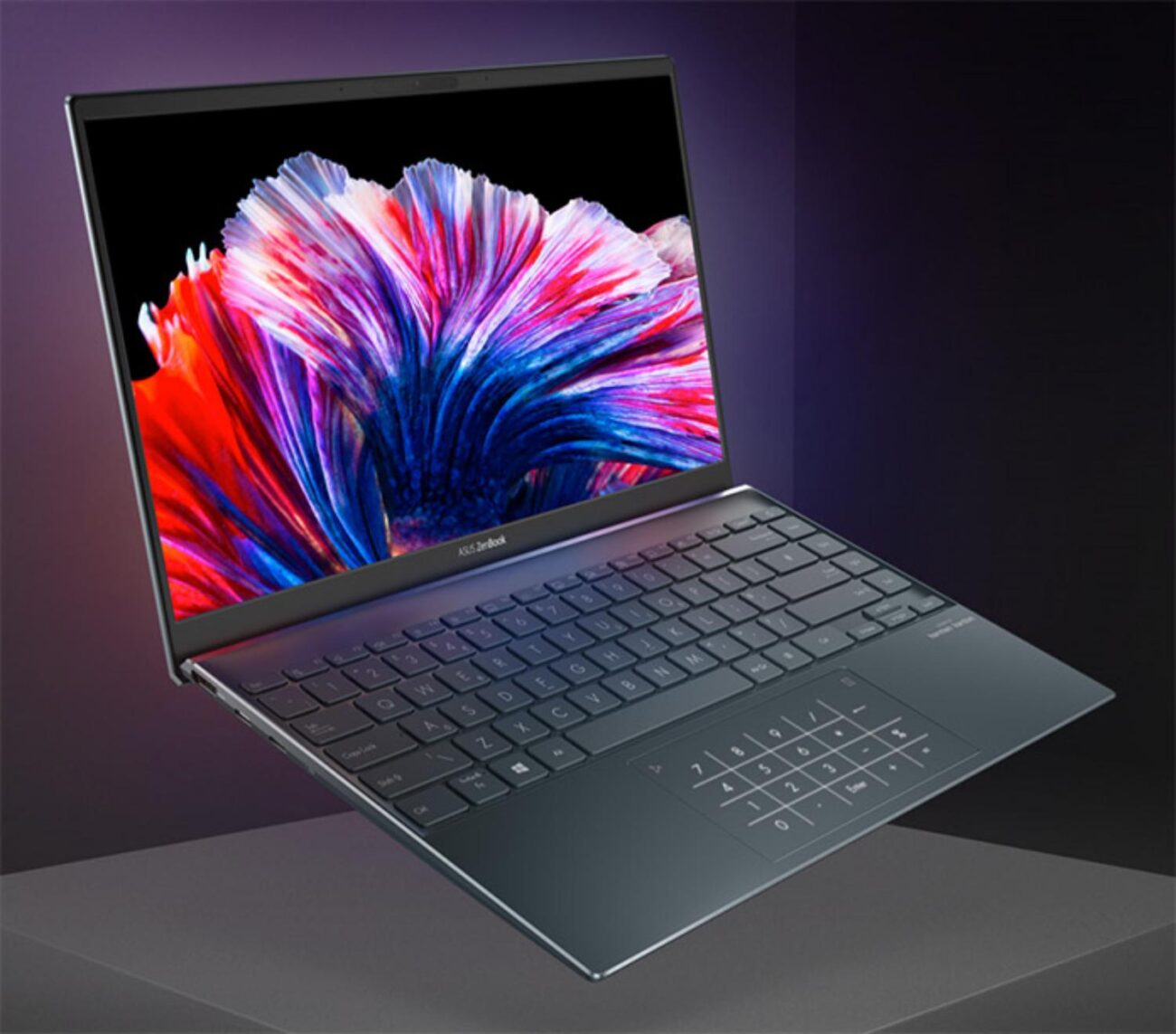 Asus vivobook oled. ZENBOOK 13 OLED. ASUS ZENBOOK OLED. ASUS ZENBOOK 13 OLED um325. ASUS ZENBOOK 15 OLED.